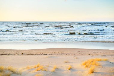 Gün batımında Baltık kıyısı manzarası. Kum tepeleri ve bitkiler yakın plan. Açık mavi akşam gökyüzü. Dalgalar ve su sıçramaları. Idyllic deniz manzarası. Letonya