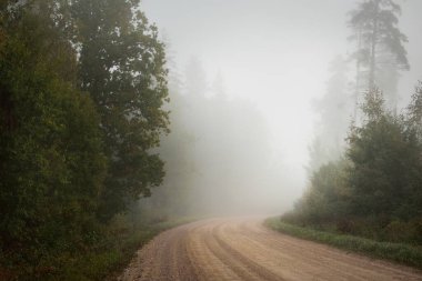 Güneşin doğuşunda sisli bir havada yeşil orman ve tarlalar boyunca boş bir toprak arazi yolu (alley). Saf sabah ışığı. Letonya 'da sonbaharın başlarında. Sonbahar, mevsimler, seyahatler, tatiller, eko turizm teması