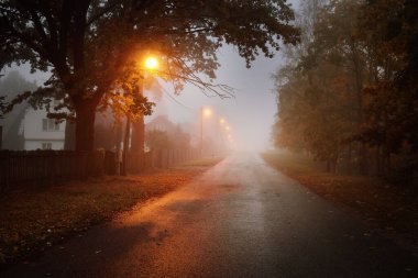 Yağmurlu bir sonbahar gününde, ağaçların ve köyün içinden geçen, boş, asfalt bir köy ve sisli bir yol, yakındaki sokak fenerleri, kırmızı ışık. Yolculuk, ulaşım, iletişim, sürüş