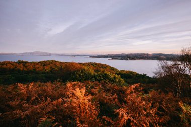Güneş doğarken Jura ve Mull adalarının panoramik hava manzarası. Kayalık kıyıların, ormanın ve tepelerin üzerindeki saf sabah güneşi. Parlak pembe bulutlar. Craignish Gölü, Crinan Kanalı, İskoçya, İngiltere