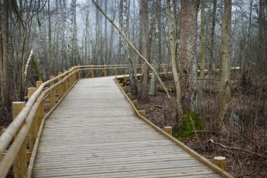 Sabah sisi içinde sulak arazide modern ahşap patika. Letonya 'da ilkbahar başı. Idyllic kırsal kesim. İskandinav yürüyüşü, dinlenme, eko turizm, çevre koruma kavramları