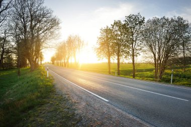 Gün batımında tarımsal kırsal alanlarda boş bir otoyol. Uzun yaprak döken ağaçlardan oluşan bir ara sokak. - Letonya. Bahar manzarası. Yeni asfalt yol. Hız, özgürlük, sürüş kavramları