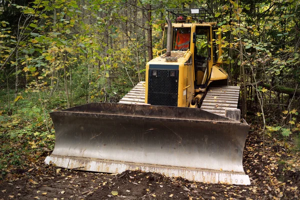 Modern yellow bulldozer working in the forest, close-up. Concept image, autumn landscape. Special equipment, business, industry, ecology, environmental damage, ecological issues. Latvia, Europe