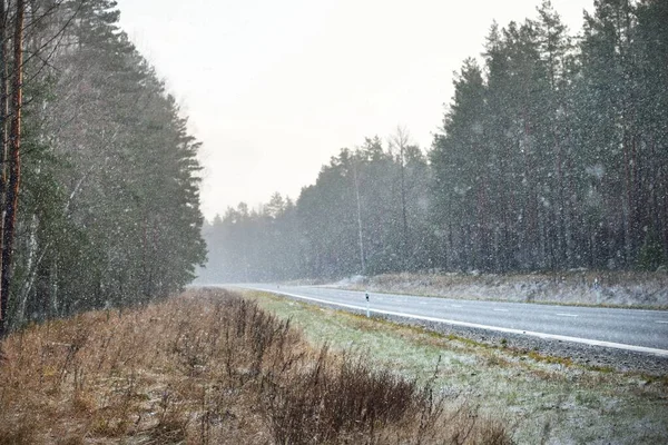 在暴风雪之后 一条穿越常绿松树林的空旷公路 新沥青路 清澈的冬日圣诞假期 当地旅游 封锁在欧洲 边远地区 — 图库照片