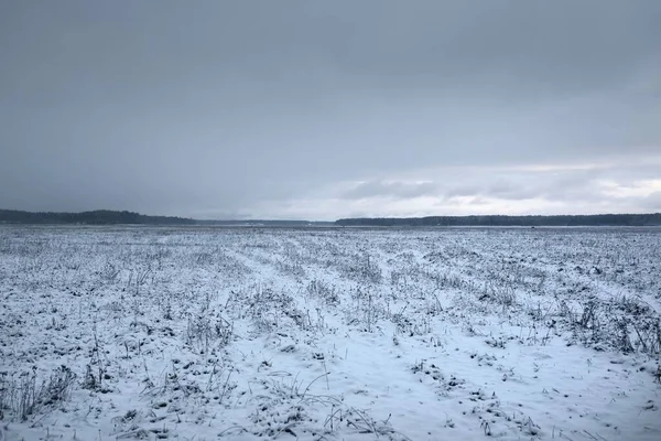 Met Sneeuw Bedekte Landbouw Ploegde Veld Bos Onder Dramatische Donkere — Stockfoto