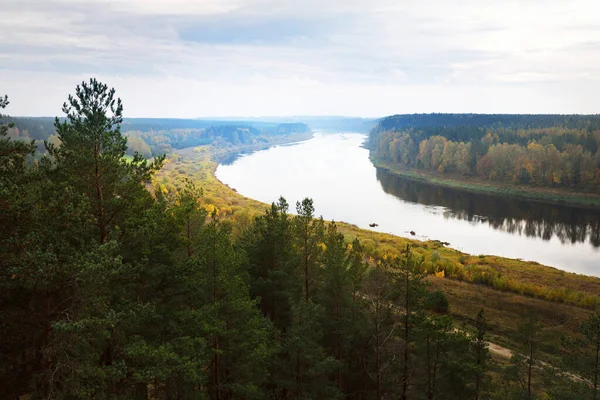 Panoramisch Uitzicht Het Majestueuze Dennenbos Bochten Van Daugava Rivier Herfst — Stockfoto