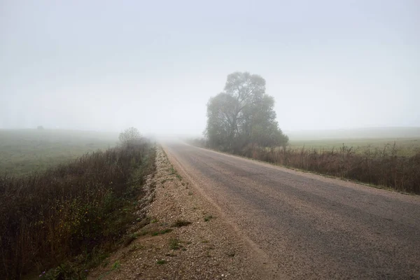 Vista Panorâmica Carro Estrada Terra Através Dos Campos Floresta Nevoeiro — Fotografia de Stock