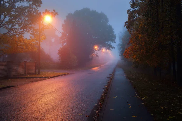 秋天的雨天 一条空旷的 灯火通明的乡间沥青路穿过树林和村庄 街道灯火通明 灯火通明 公路旅行 — 图库照片