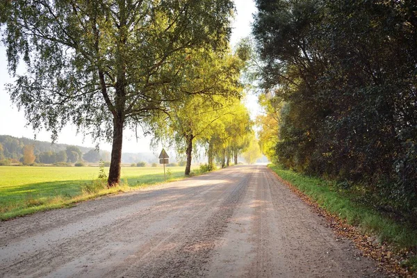 Una Strada Sterrata Vuota Vicolo Attraverso Foresta Verde Campi Una — Foto Stock