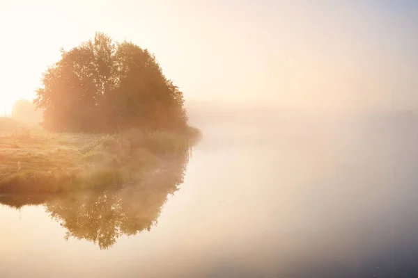 호수의 아름다운 황금빛 유럽의 — 스톡 사진