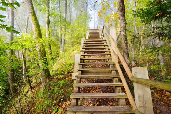 Low Angle View Wooden Forest Stairway Sunrise Fog Soft Morning — Stock Photo, Image