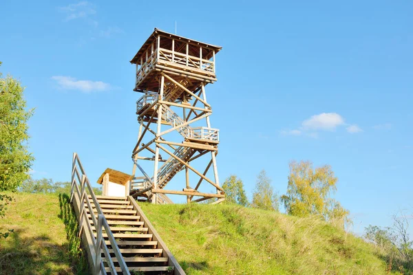 Low Angle View Stairway Modern Wooden Bird Watching Tower Lake — Stock Photo, Image