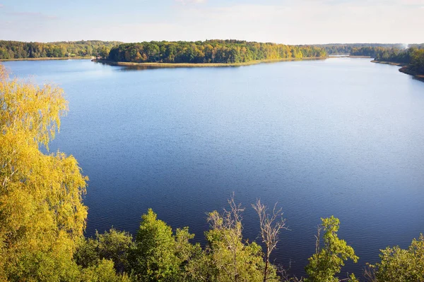 Panorama Luftaufnahme Des Waldes Und Eines Blauen Flusses Klarer Himmel — Stockfoto