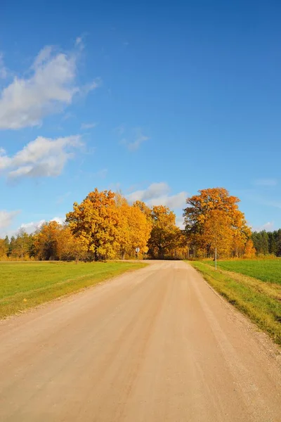 Landstraße Durch Grüne Wiesen Und Goldene Laubbäume Eiche Ahorn Birke — Stockfoto