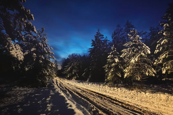 Освітлена Снігова Покрита Сільською Дорогою Через Вічнозелений Сосновий Ліс Заході — стокове фото