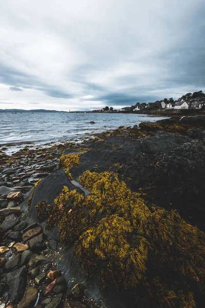 Una Vista Costa Rocosa Del Canal Crinan Casas Fondo Ardrishaig — Foto de Stock