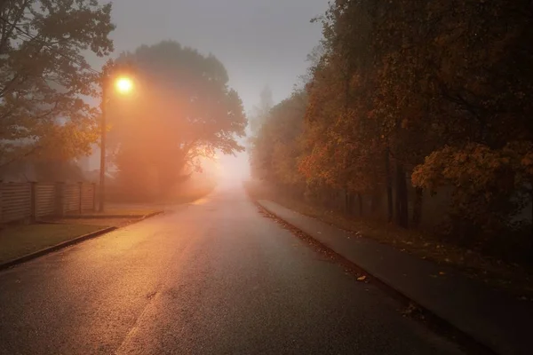 Una Strada Asfaltata Paese Illuminato Vuoto Attraverso Gli Alberi Una — Foto Stock