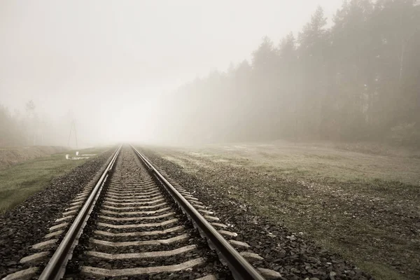 Eisenbahngleise Dichten Weißen Nebel Hintergrund Wald Konzeptlandschaft Güter Und Personenverkehr — Stockfoto