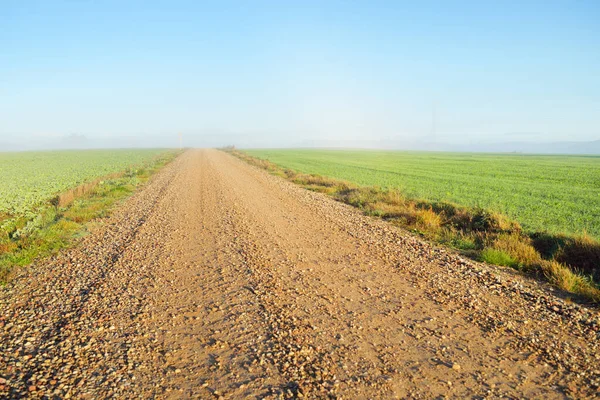 Old Country Asphalt Road Village Fields Forest Electricity Line Close — Stock Photo, Image