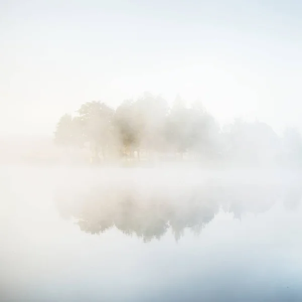 Pintoresco Paisaje Del Lago Del Bosque Una Espesa Niebla Blanca — Foto de Stock