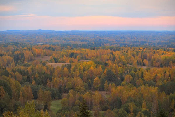 カラフルな秋の森の絵のようなパノラマの空中風景 オレンジ 緑の葉 トウヒ カエデの木 劇的な夕日の空 生態系 — ストック写真