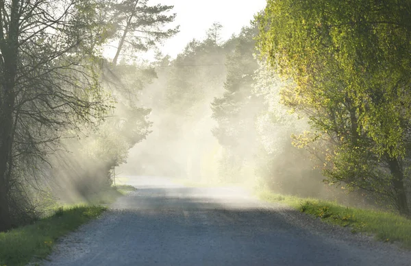 日落时空旷的乡间小路 阳光穿过树林 拉脱维亚的春天 田园诗般的乡村风景 大气景观 环境保护 生态旅游概念 — 图库照片