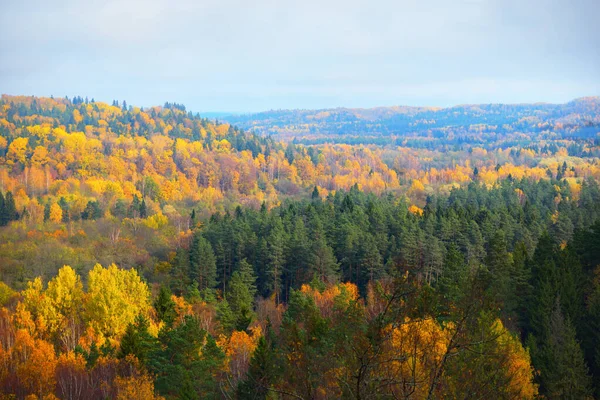 Pittoresk Panoramautsikt Över Skogskullarna Vtrã Och Tallar Med Rgglada Blad — Stockfoto