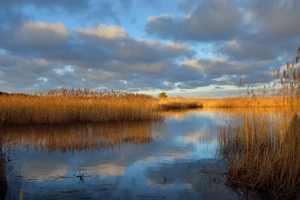 Una Vista Sul Mar Baltico Una Riva Sabbiosa Cielo Limpido — Foto Stock