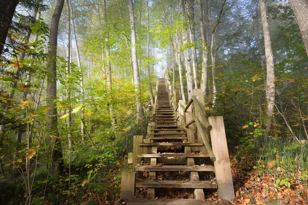 Low Angle View Wooden Forest Stairway Sunrise Fog Soft Morning — Stock Photo, Image