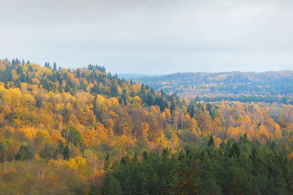 Malowniczy Panoramiczny Widok Lotu Ptaka Leśne Wzgórza Liściaste Sosnowe Drzewa — Zdjęcie stockowe