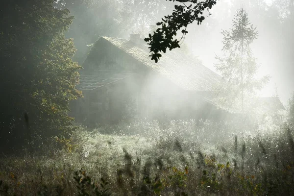 Old Abandoned Rustic House Cabin Fog Sunrise Sun Rays Oak — Stock Photo, Image