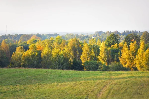 Grüne Felder Und Wälder Bei Sonnenuntergang Traktorspuren Aus Nächster Nähe — Stockfoto