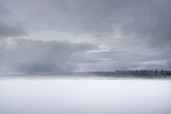 Sněhem Pokryté Zemědělské Orné Pole Les Pod Dramatickými Temnými Mraky — Stock fotografie