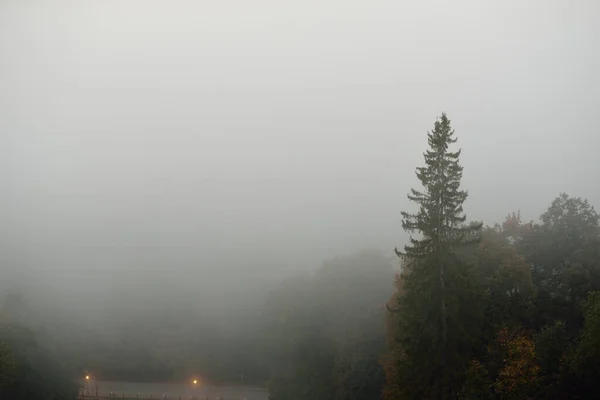 Vale Rio Gauja Floresta Pinheiros Nuvens Misteriosa Neblina Matinal Nascer — Fotografia de Stock