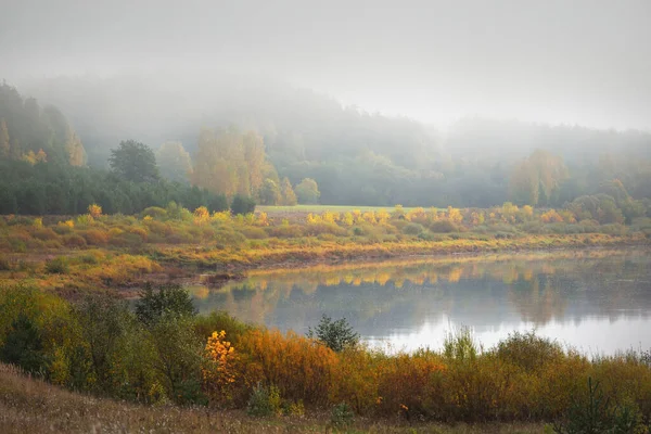 Panoramic View Majestic Golden Birch Forest Bends Daugava River Fog — Stock Photo, Image