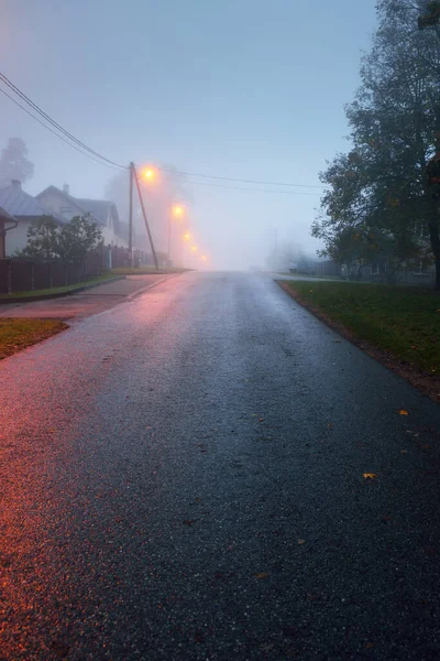 秋天的雨天 一条空旷的 灯火通明的乡间沥青路穿过树林和村庄 街道灯火通明 灯火通明 公路旅行 — 图库照片