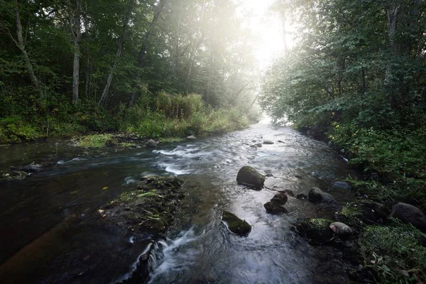 Wild River Dark Forest Sunrise Pure Morning Sunlight Sunbeams Fog — Stock Photo, Image