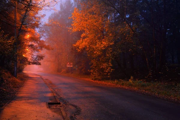 一条空旷 灯火通明的乡间沥青路穿过树木 一个小镇在雾中 街灯紧闭 红光闪烁 公路旅行 — 图库照片