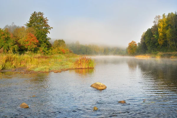 Malerische Lebendige Landschaft Des Waldflusses Nebel Reflexionen Über Wasser Natürlicher — Stockfoto