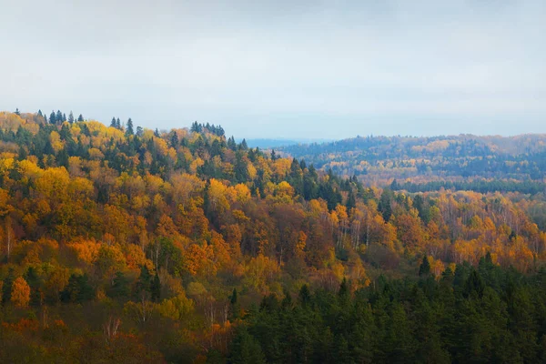 Malowniczy Panoramiczny Widok Lotu Ptaka Leśne Wzgórza Liściaste Sosnowe Drzewa — Zdjęcie stockowe