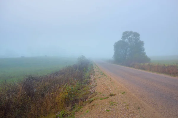 Panoramic View Car Dirt Road Fields Forest Fog Sunrise Europe — Stock Photo, Image