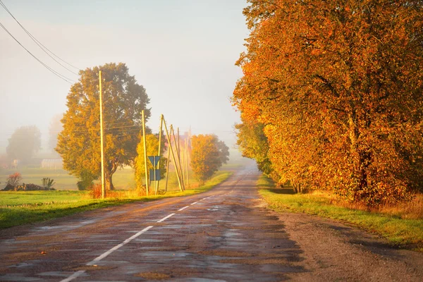 An old country asphalt road through the village and fields to the forest. Electricity line close-up. Autumn rural scene. Transportation, agriculture, farm, ecology. countryside, ecotourism, road trip