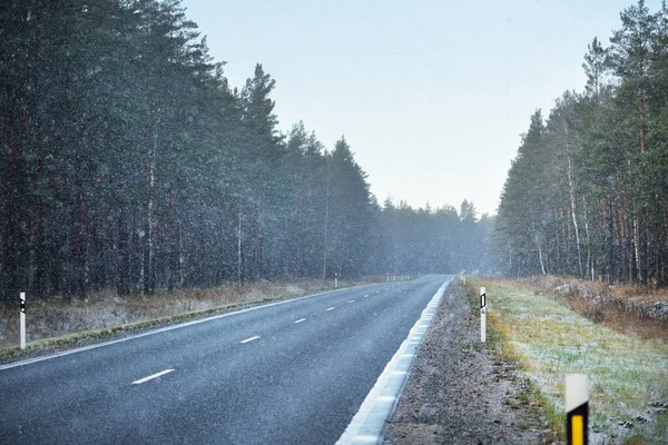 Een Lege Snelweg Nieuwe Asfaltweg Door Het Altijd Groene Dennenbos — Stockfoto