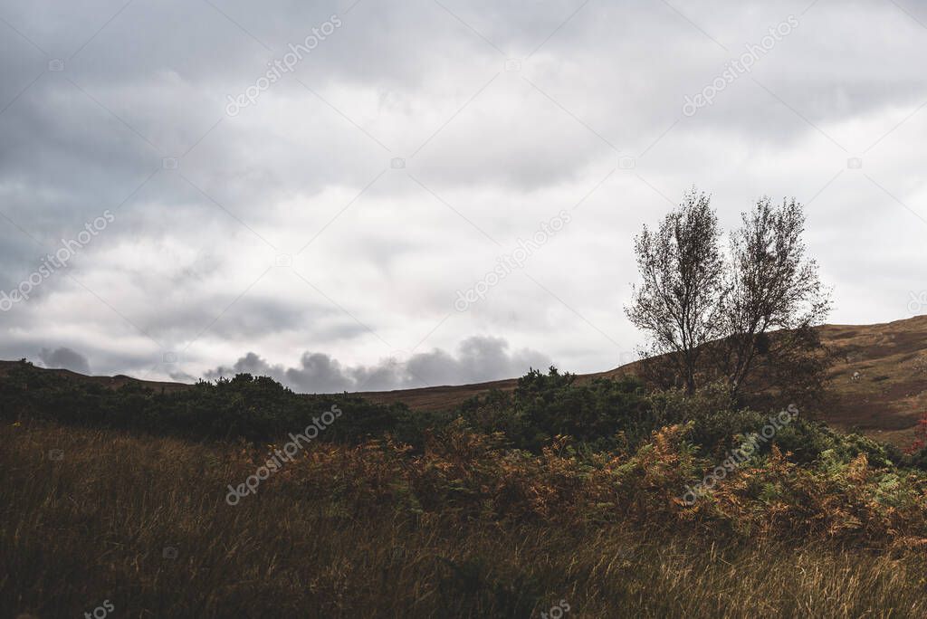 Panoramic view of the shores, hills and valleys of Jura island. Cloudy blue sky. Stormy weather. Paps of Jura, Inner Hebrides, Scotland, UK. Travel destinations, eco tourism, national landmarks