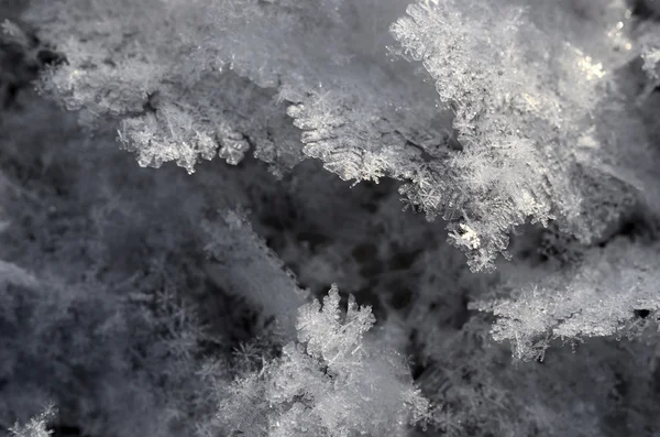 Schneekristalle aus nächster Nähe — Stockfoto