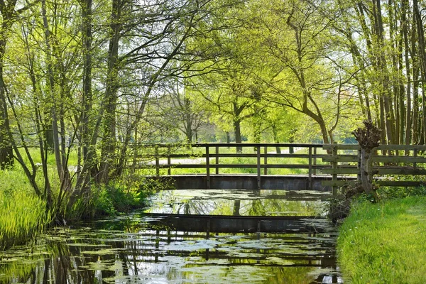 Malý most v Stochemhoeve parku v Leiden — Stock fotografie