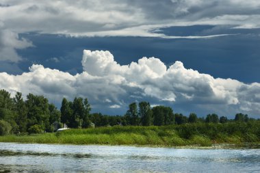 ağaçları ve süs bulutlar