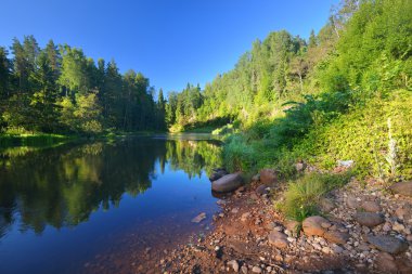 Gauja Nehri Vadisi