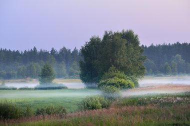 Alacakaranlık sisli alanı
