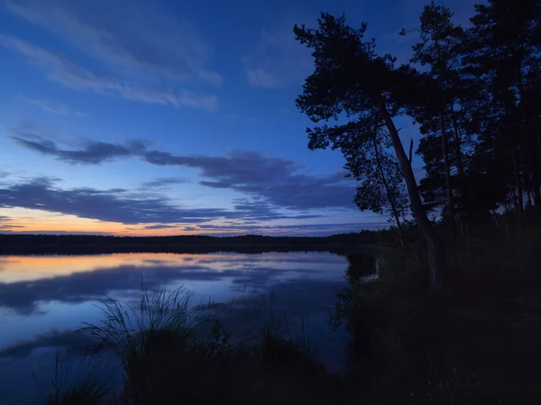 Sonnenuntergang an einem Waldsee — Stockfoto